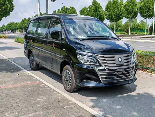 Dongfeng Lingzhi New Energy 2026