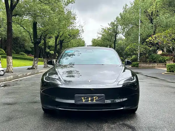 Tesla Model 3 2024