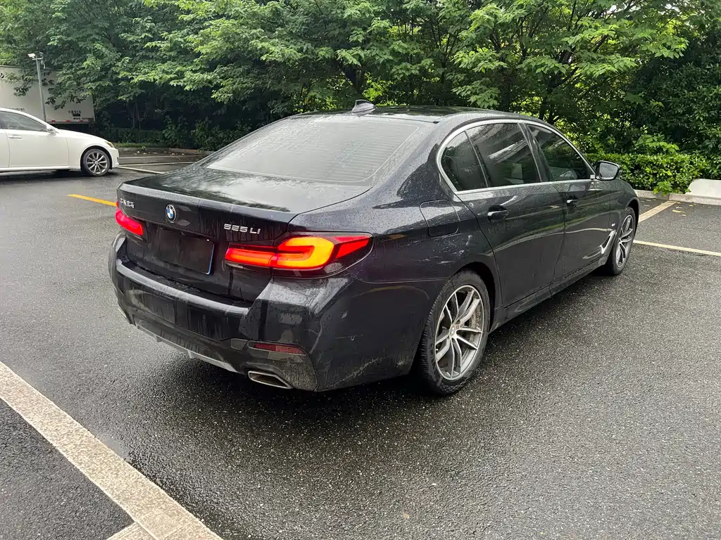 BMW 5 Series 2021