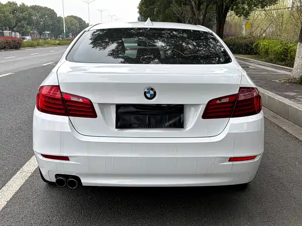 BMW 5 Series 2014