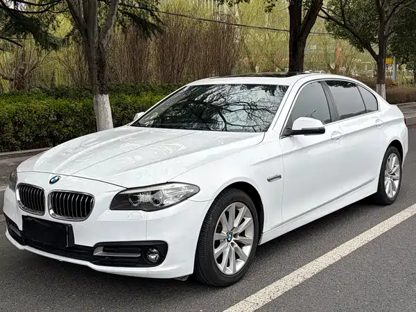 BMW 5 Series 2014