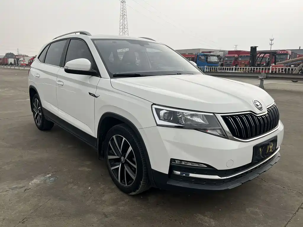 Skoda Kamiq 2020 — фото 19