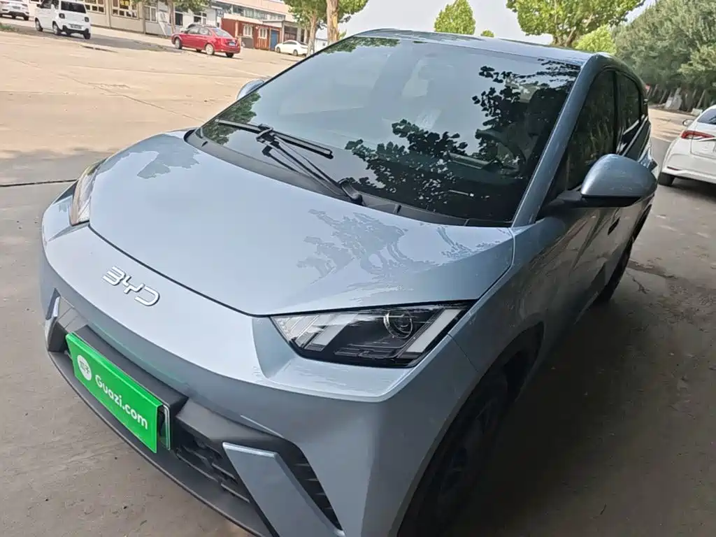 BYD Seagull 2024