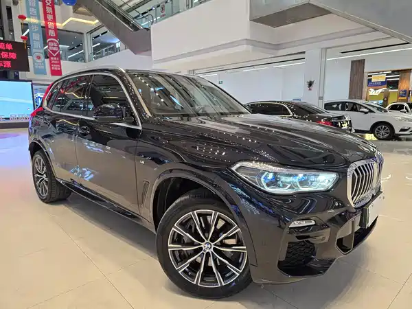 BMW X5 New Energy 2021