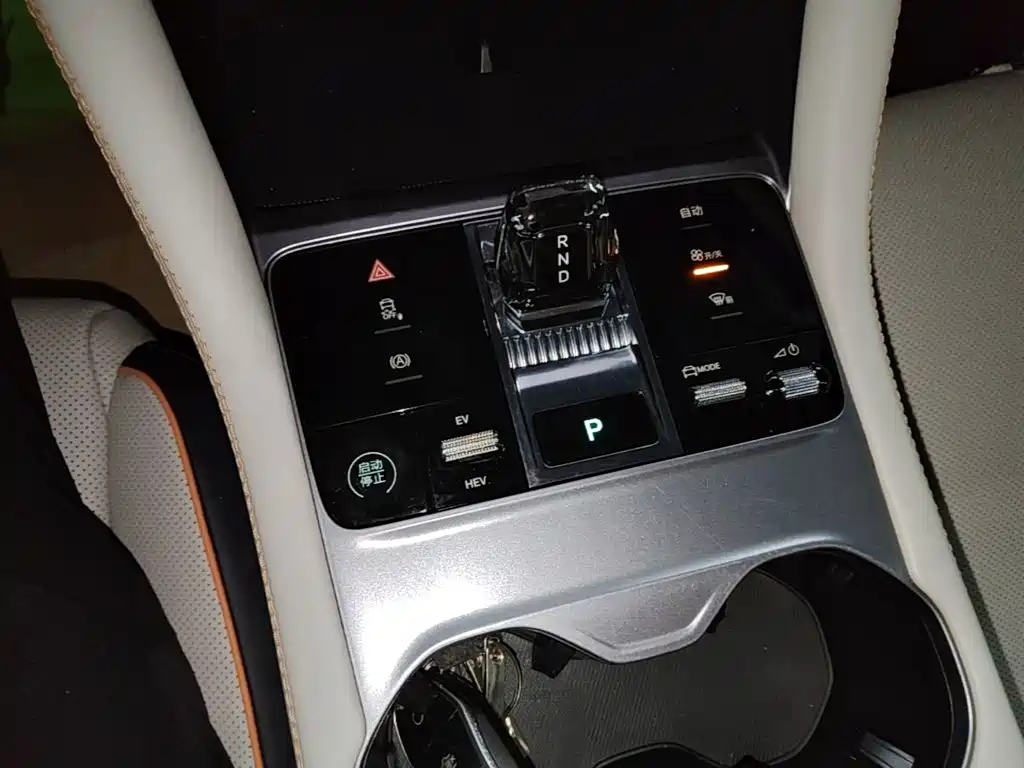 BYD Song PLUS New Energy 2024 — фото 14