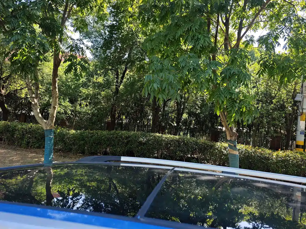 Dongfeng Scenery S560 2019 — фото 11