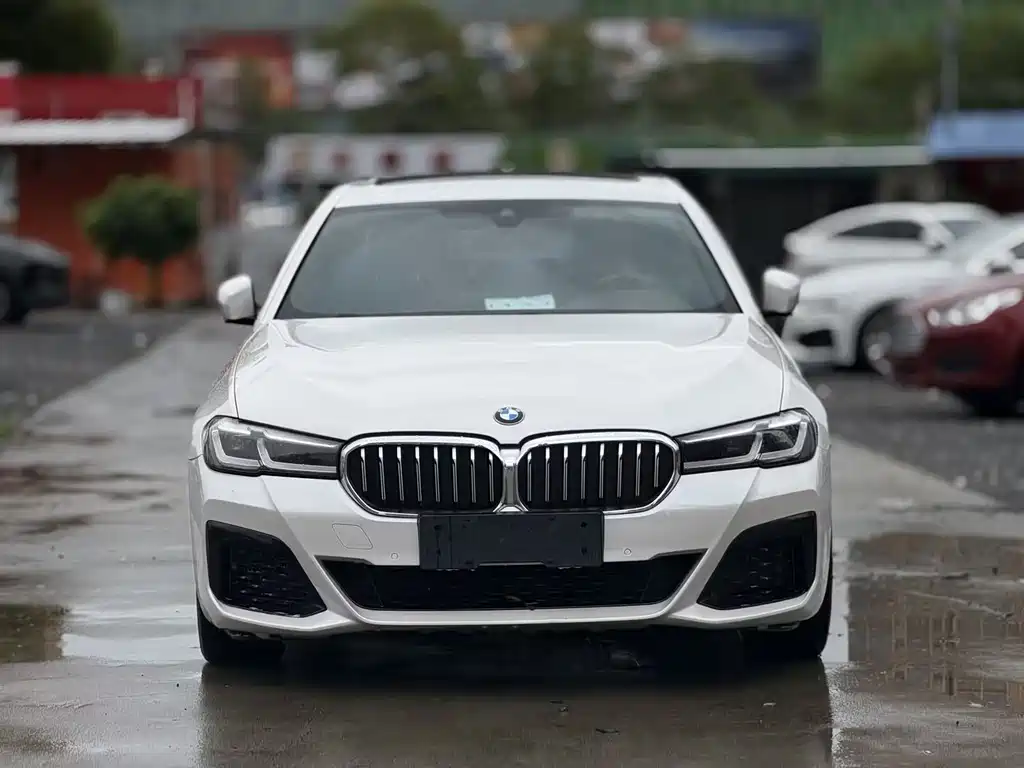 BMW 5 Series New Energy 2020