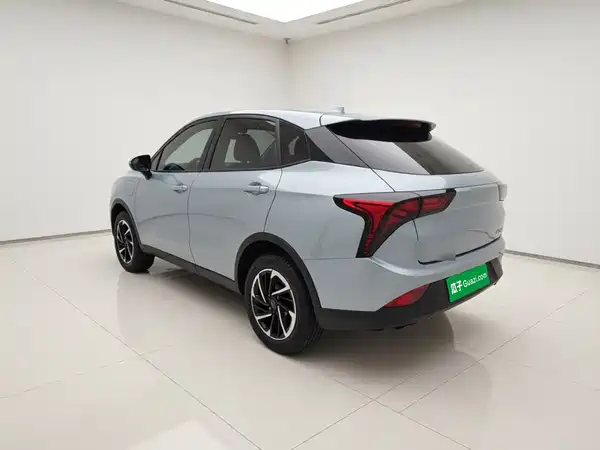 Neta V 2021
