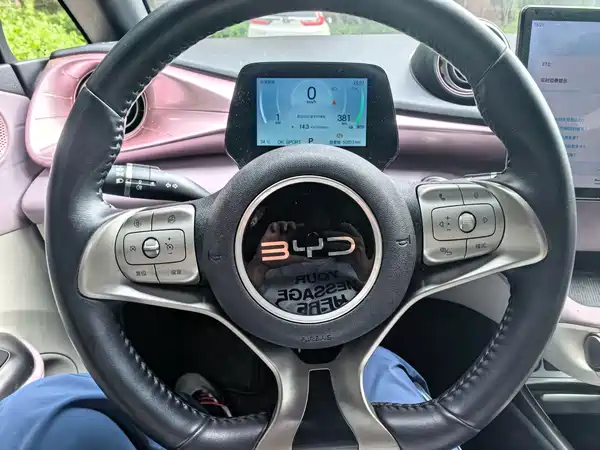 BYD Dolphin 2025