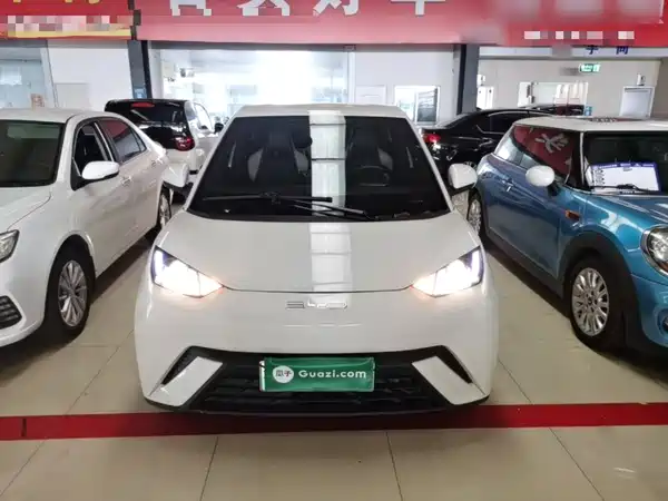 BYD Seagull 2024