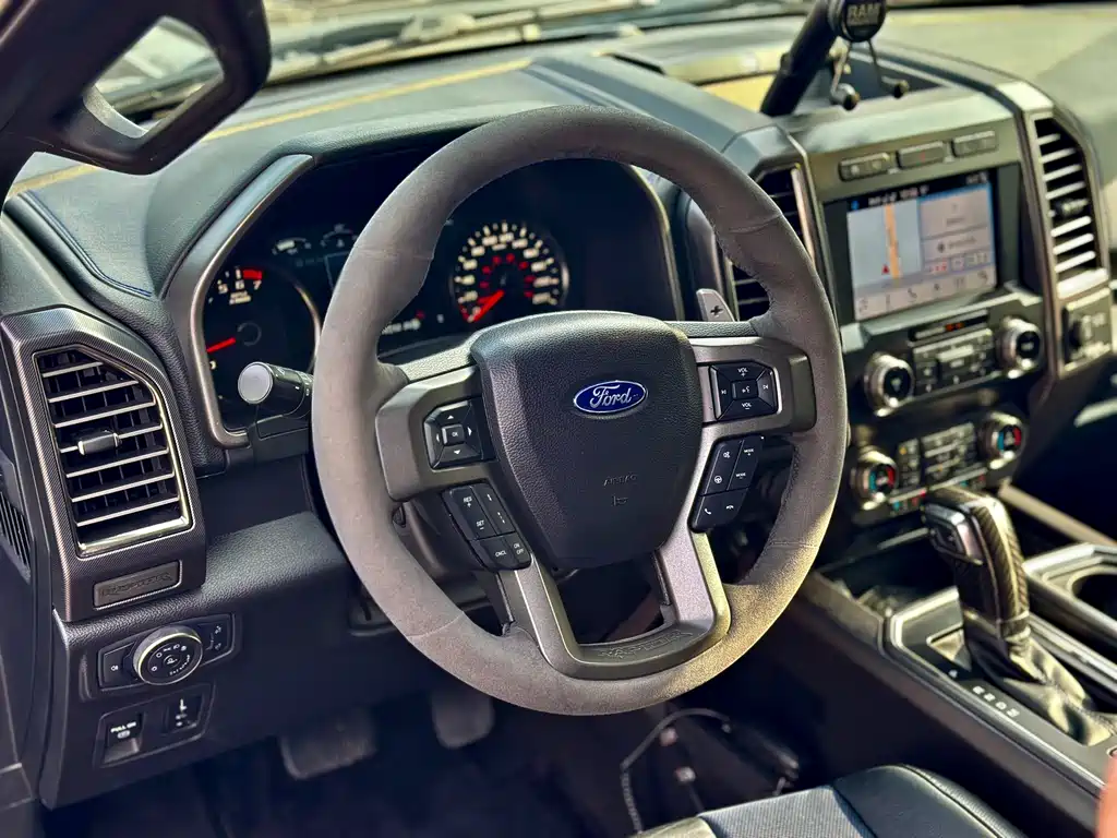Ford F-150 Raptor 2019 — фото 14
