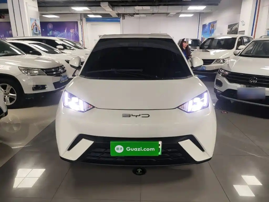 BYD Seagull 2024