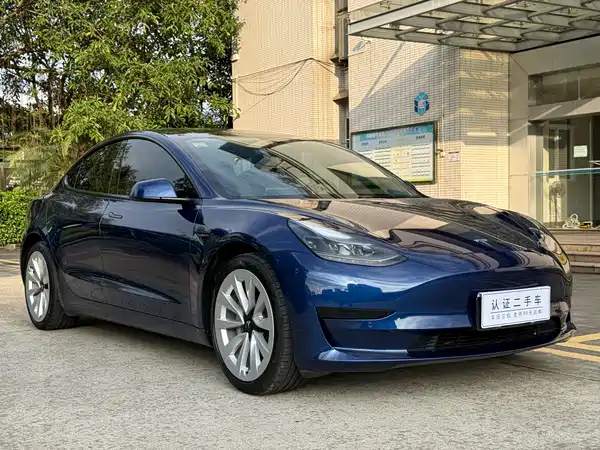 Tesla Model 3 2021