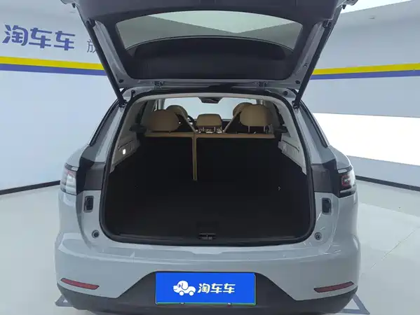 Leapmotor C11 2024