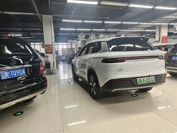 BYD Song Pro New Energy 2025