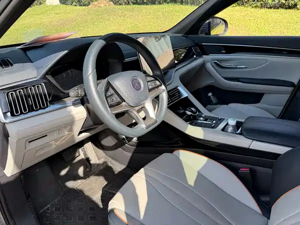 BYD Song PLUS New Energy 2022