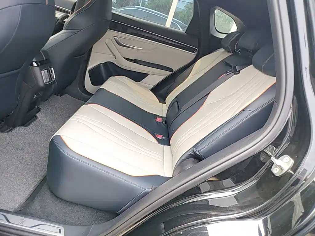 BYD PLUS New Energy 2023 — фото 17