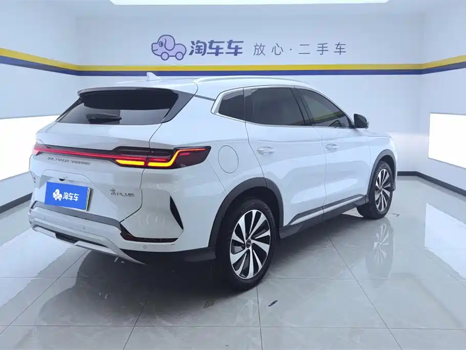 BYD PLUS New Energy 2024 — фото 3