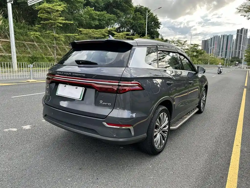 BYD Pro New Energy 2021