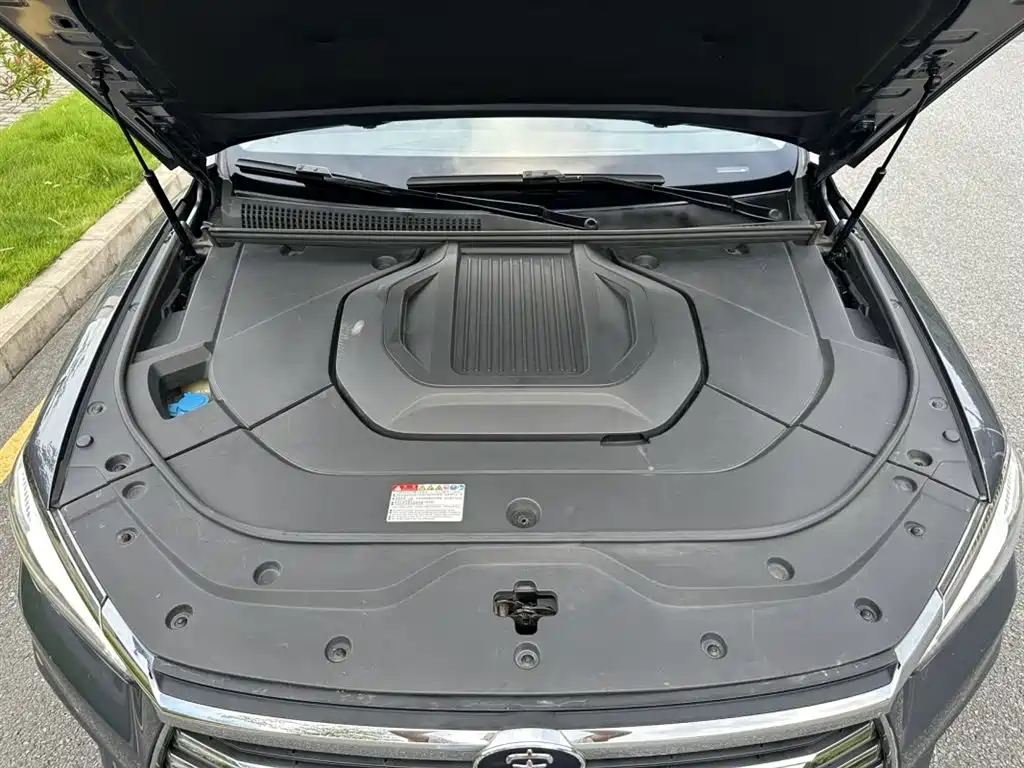 BYD Pro New Energy 2021 — фото 19