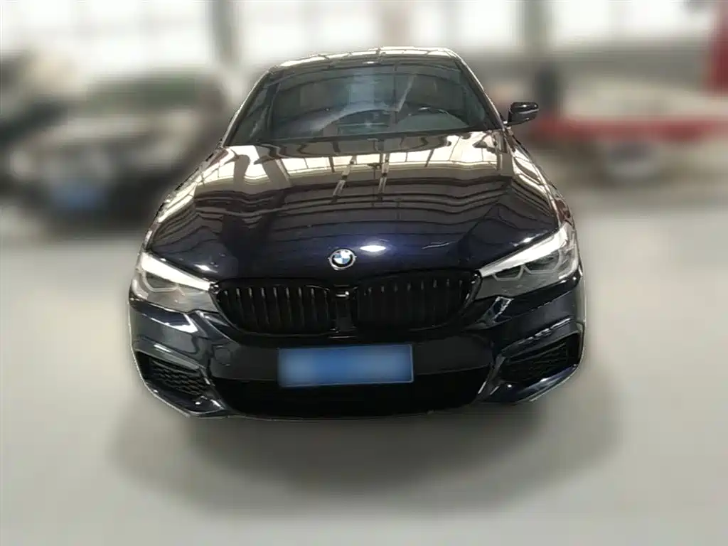 BMW 5 Series 2018 — фото 5