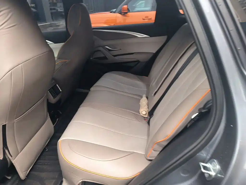 BYD Song Pro New Energy 2024 — фото 13