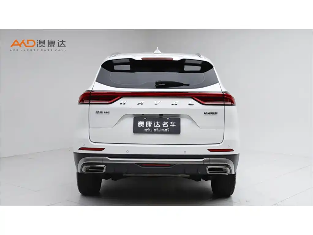Haval H6 2024 — фото 4