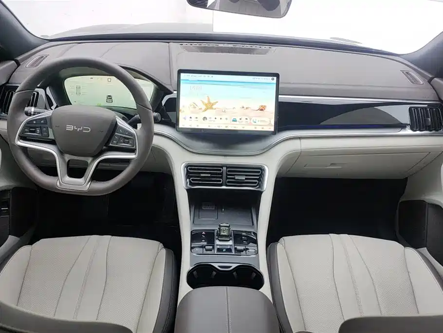 BYD PLUS New Energy 2025 — фото 12