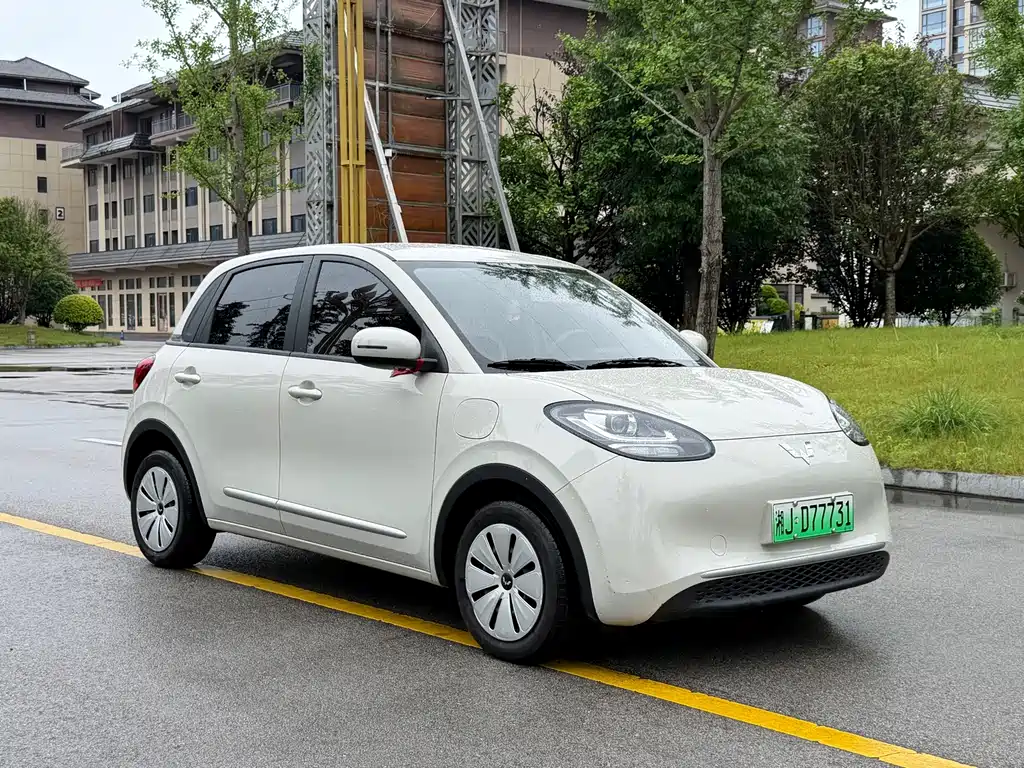 Wuling Bingo 2024