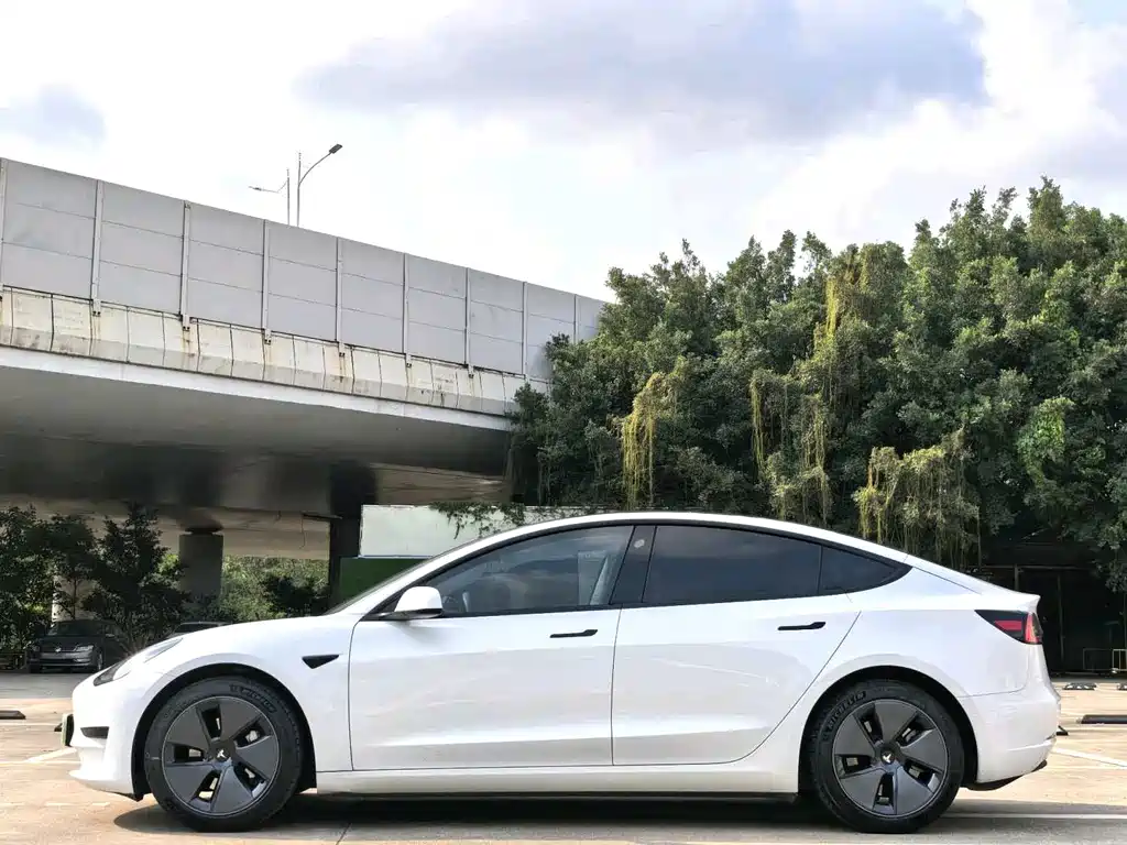 Tesla Model 3 2021 — фото 9