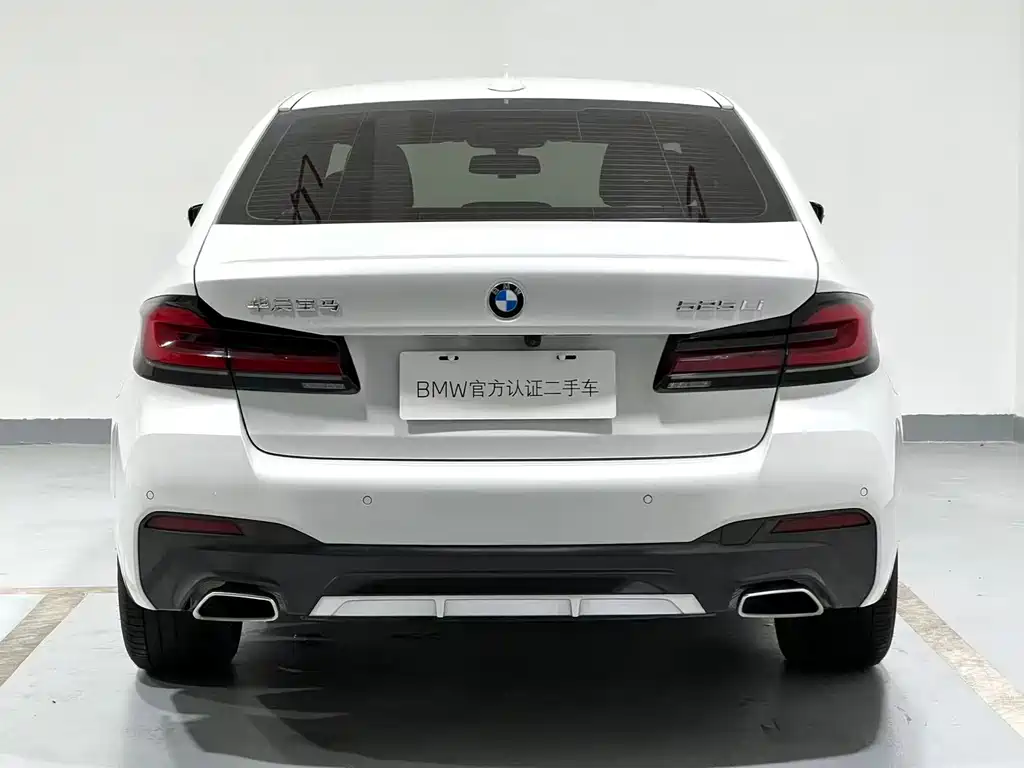 BMW 5 Series 2021
