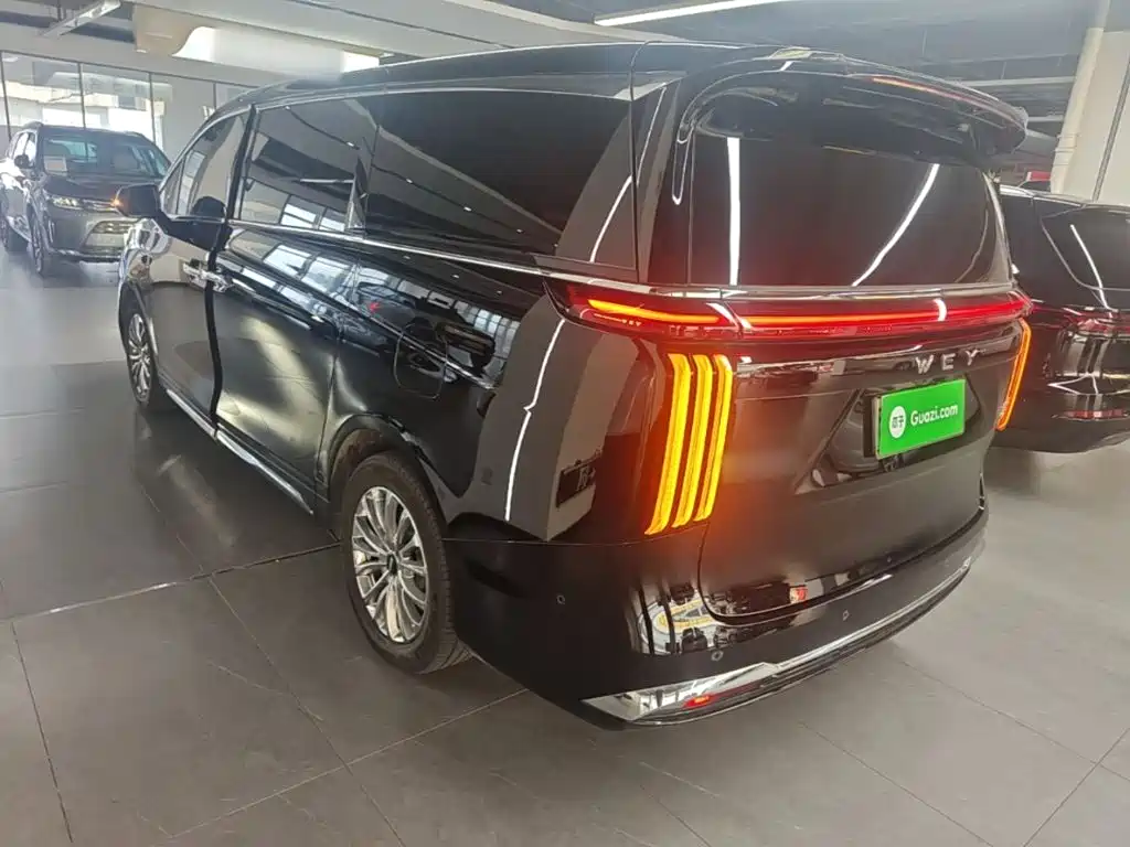 Wey Gaoshan 2025