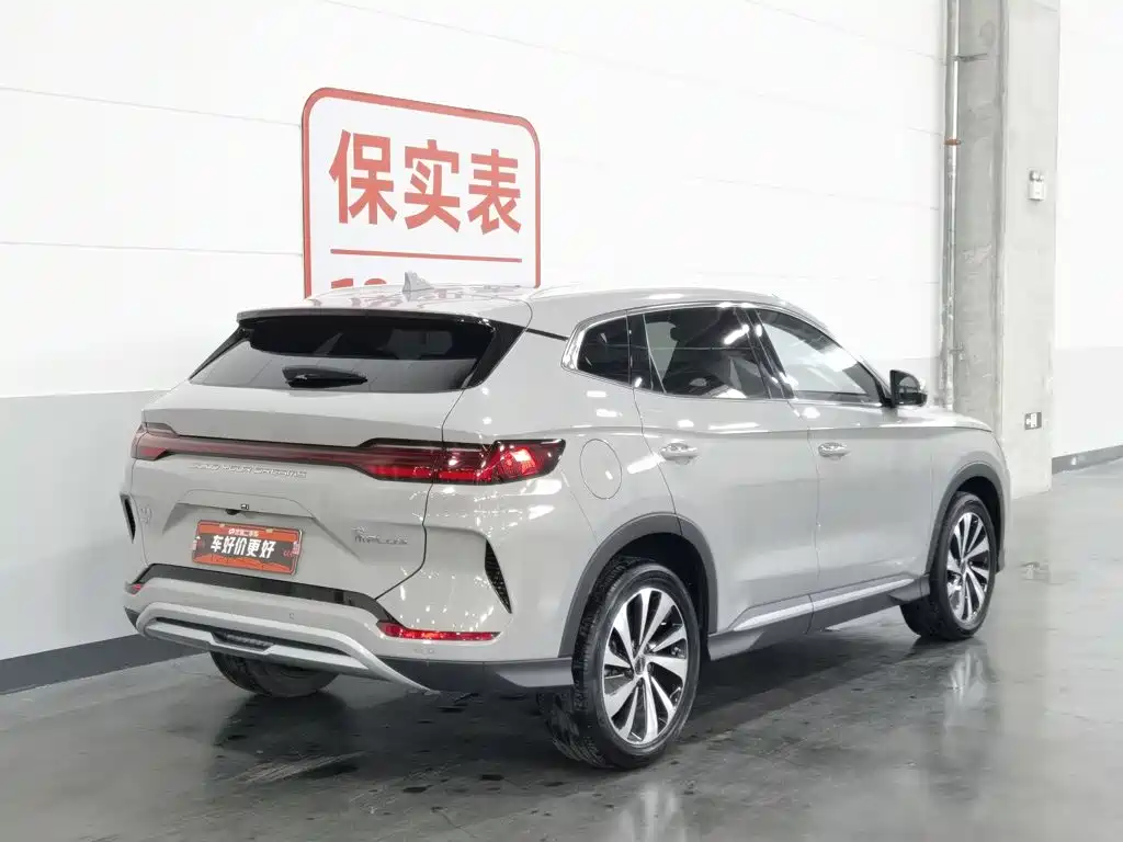 BYD Song PLUS New Energy 2024 — фото 2