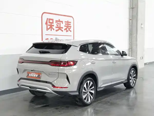 BYD Song PLUS New Energy 2024