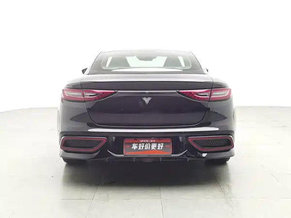 Neta GT 2024