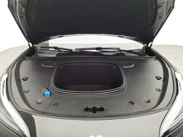Neta GT 2024
