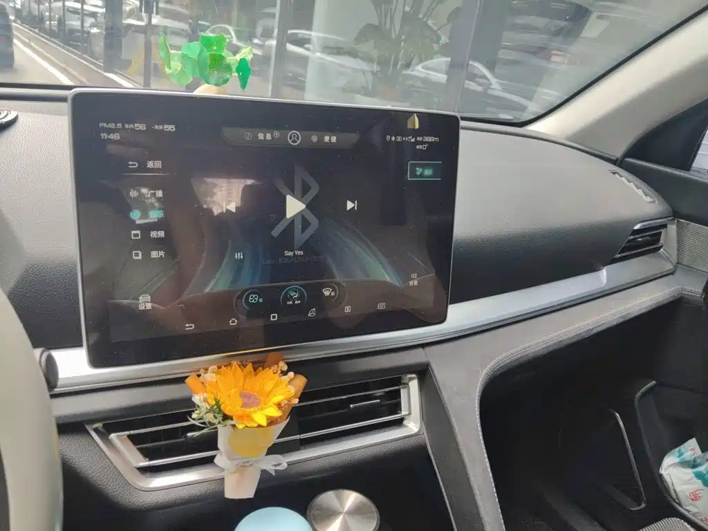 BYD Song Pro New Energy 2019 — фото 14