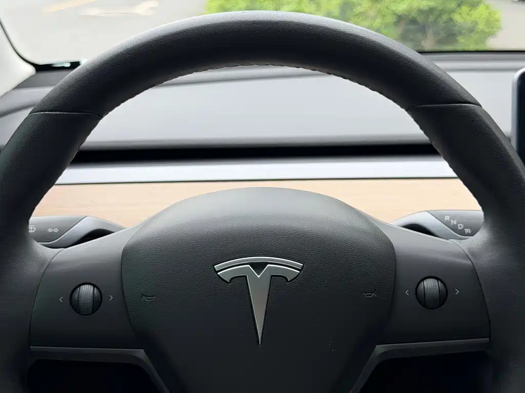 Tesla Model 3 2019 — фото 6
