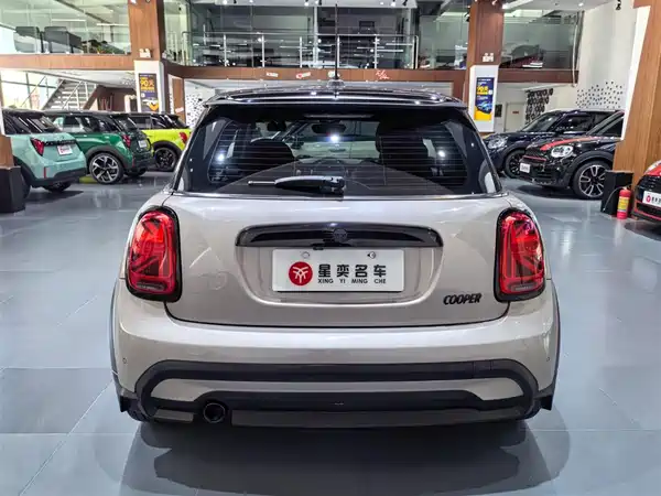 MINI MINI 2022