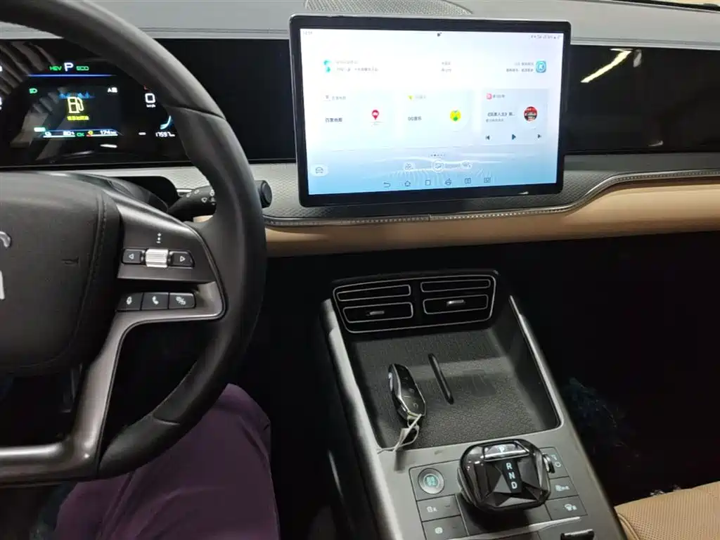 BYD Pro New Energy 2025 — фото 13