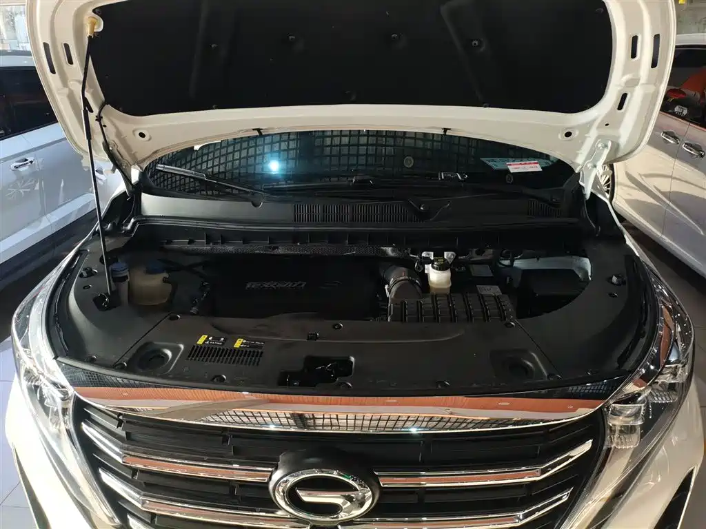 GAC Motor Trumpchi M8 2025 — фото 16
