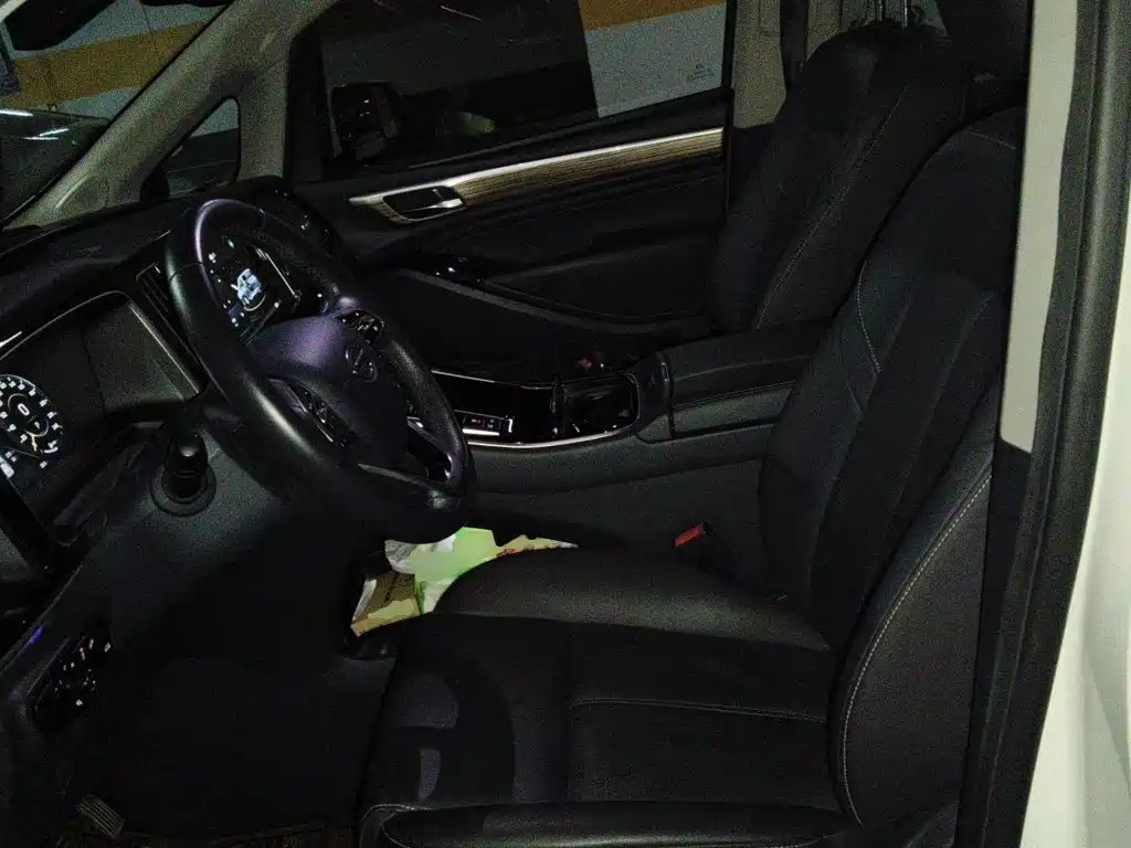 GAC Trumpchi M8 2021 — фото 16