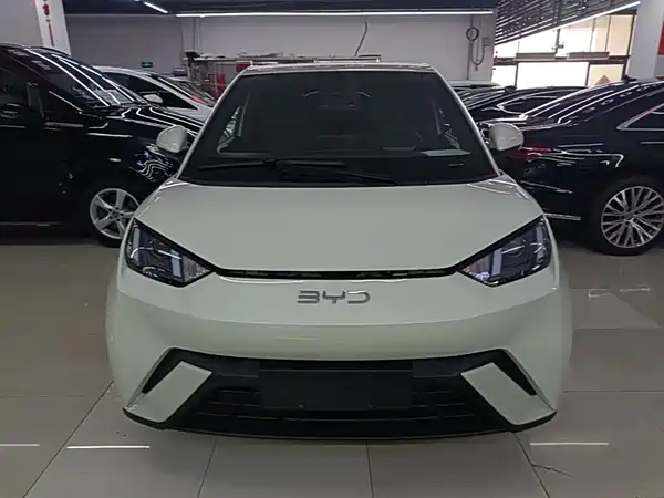 BYD Seagull 2024