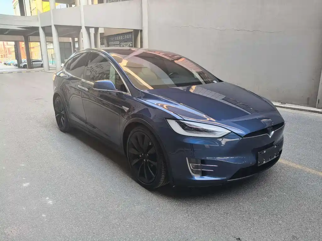 Tesla Model X 2016 — фото 5
