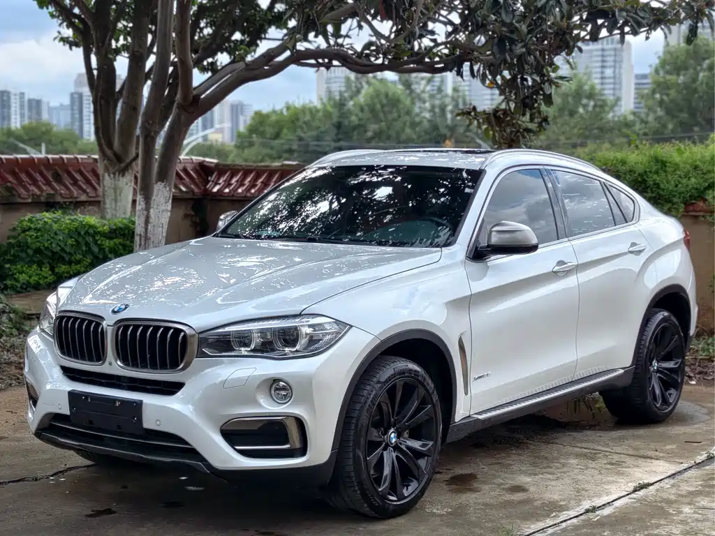 BMW X6 2019 — фото 1