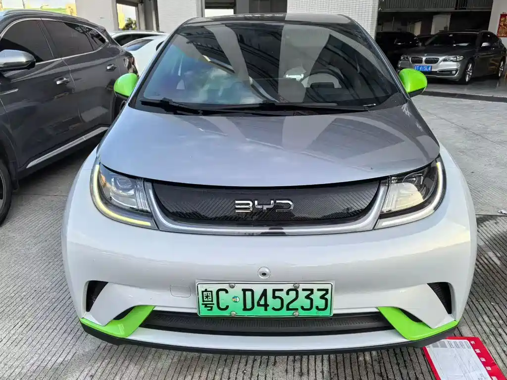 BYD Dolphin 2022