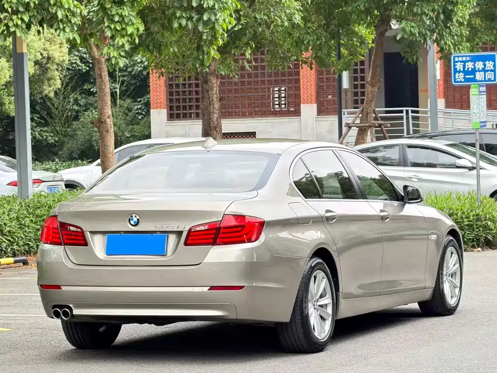 BMW 5 Series 2010