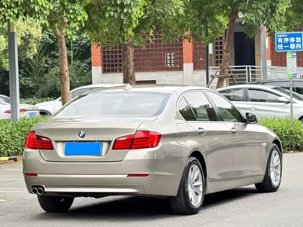 BMW 5 Series 2010