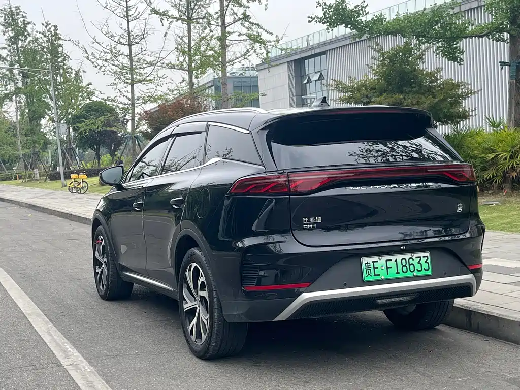 BYD Tang New Energy 2025 — фото 15