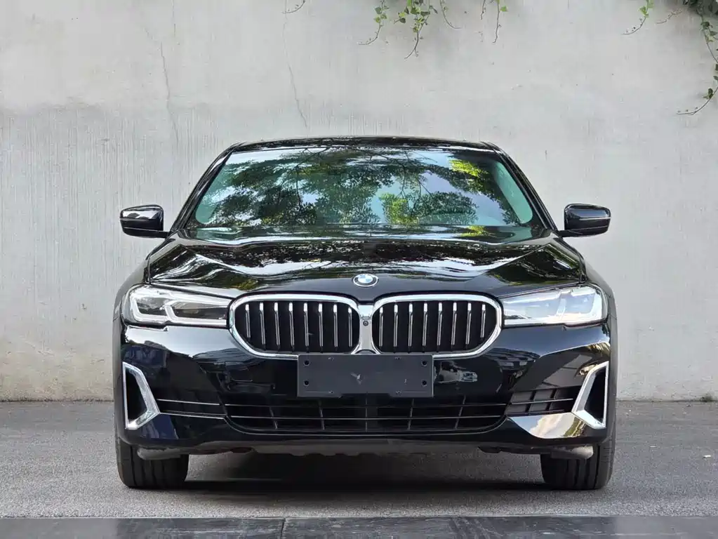 BMW 5 Series 2021